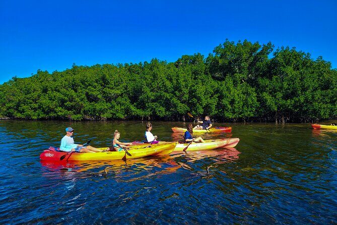 Mangroves, Manatees, and a Hidden Beach: Kayak Tour - Pricing and Value