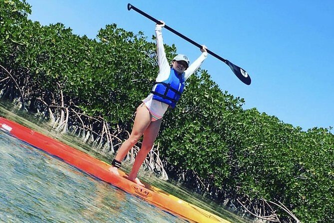 Mangroves Stand-Up Paddleboard Tour - Experience the Calm of Turks and Caicos Mangroves on a Stand-Up Paddleboard Tour