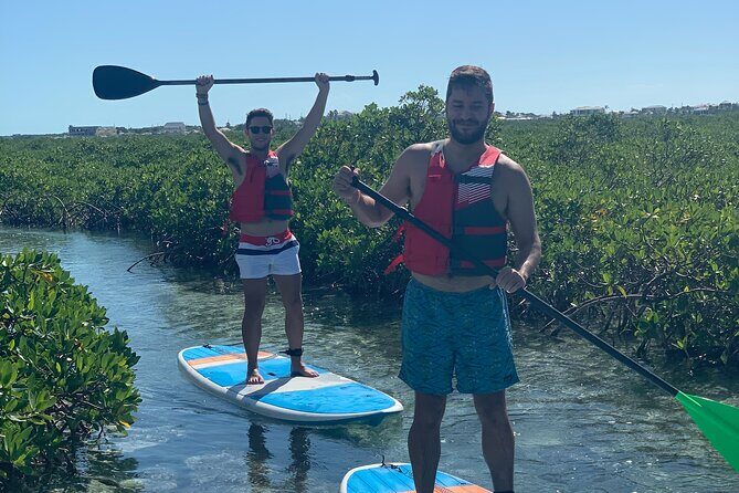 Mangroves Stand-Up Paddleboard Tour - A Detailed Look at the Mangroves Stand-Up Paddleboard Tour