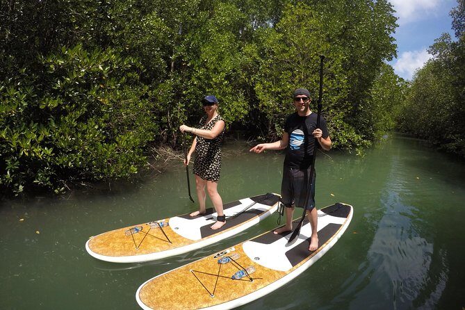 Mangroves SUP Tour Phuket - Who Will Love This Tour?