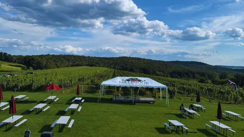 Manhattan: Millbrook Vineyards & Winery Private Tour - The Value of the Experience