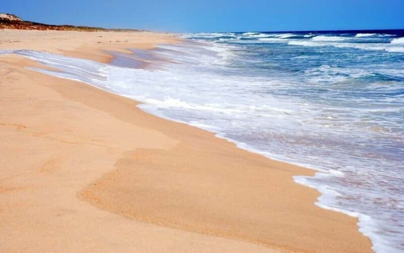 Manhattan to Hamptons: Beaches & Villages Tour - Who Is This Tour Best For?