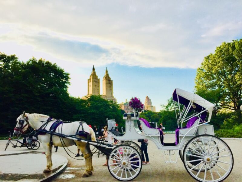 Manhattan: VIP Private Horse Carriage Ride in Central Park - An In-Depth Look at the Central Park Horse Carriage Experience