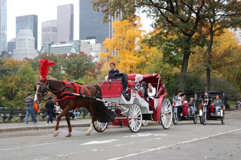 Manhattan: VIP Private Horse Carriage Ride in Central Park - FAQs