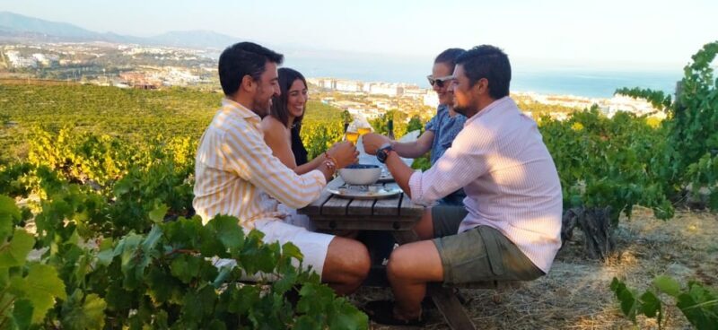 Manilva: Nilva Vineyard, Wine Tasting & Tapas Guided Tour - Manilva: Nilva Vineyard, Wine Tasting & Tapas Guided Tour – A Deep Dive