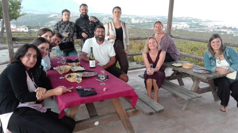 Manilva: Nilva Vineyard, Wine Tasting & Tapas Guided Tour - Who Will Love This Tour?