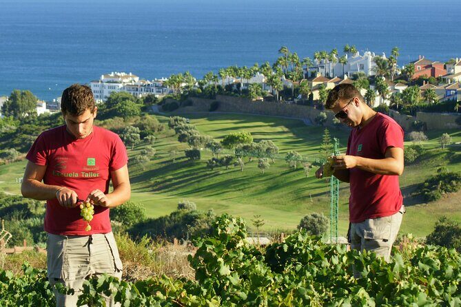 Manilva Oceanfront Wine Experience in the Marbella Area - Who Will Love This Tour?