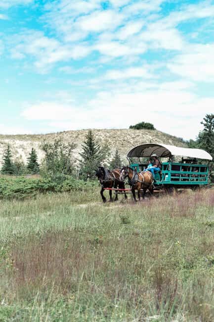 Manitoba: Horse-Drawn Wagon Ride in Spruce Woods Park - Who Should Consider This Experience?
