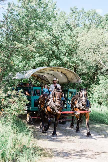 Manitoba: Horse-Drawn Wagon Ride in Spruce Woods Park - Frequently Asked Questions