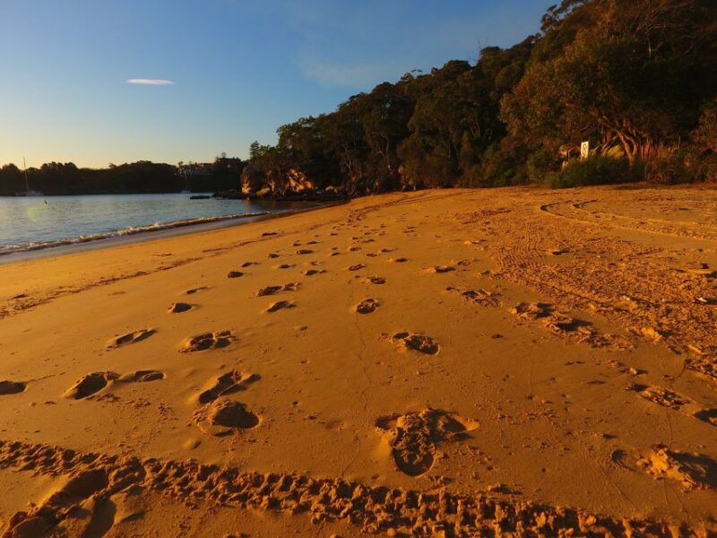 Manly: 3-Beach Kayak Tour with Lunch - Manly: 3-Beach Kayak Tour with Lunch — A Detailed Review
