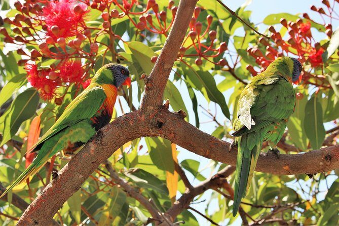Manly and more private tour - Frequently Asked Questions