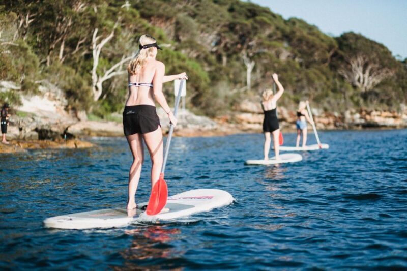 Manly Stand Up Paddle Board Hire - Why This SUP Experience Stands Out