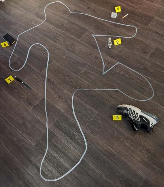 Mannheim, guided walking tour: Crime Scene Mannheim - Who Will Love This Tour?
