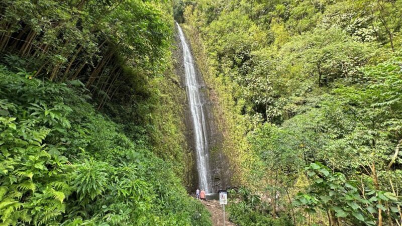 Manoa Falls eBike to Hike - Manoa Falls eBike to Hike: Discover Paradise with Pedals and Pathways