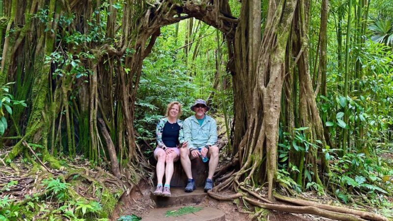 Manoa Falls eBike to Hike - Key Points