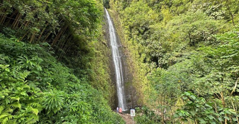 Manoa Falls eBike to Hike - The Experience’s Drawbacks