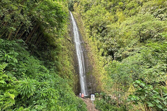Manoa Falls-Electric Bike to Hike Experience Local meal included - Key Points