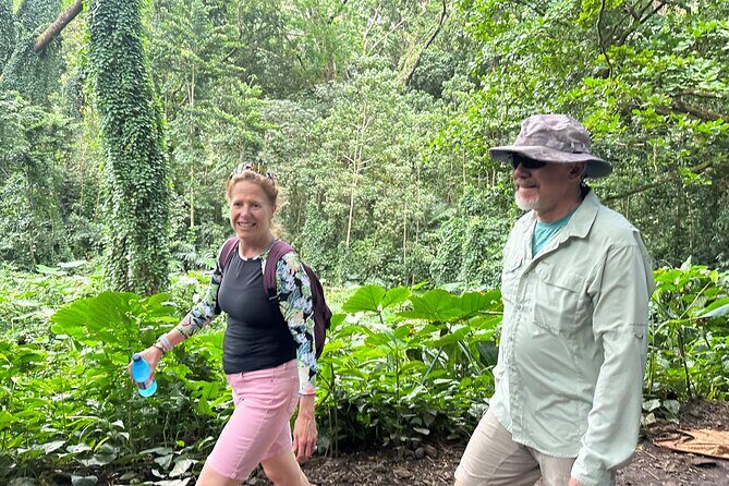 Manoa Falls-Electric Bike to Hike Experience Local meal included - The Sum Up