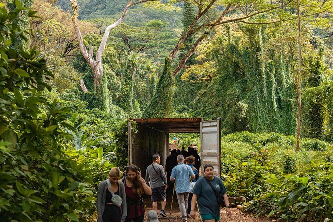 Manoa Waterfall Hike From Waikiki With Healthy Lunch Included - FAQs