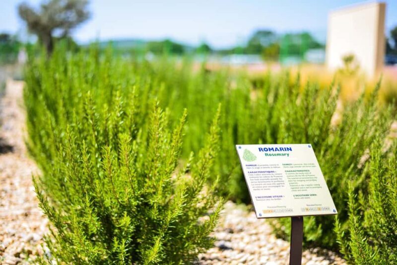 Manosque: L'Occitane en Provence Guided Factory Tour - Key Points