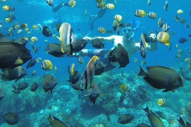 Manta Bay Snorkeling Adventure with Kelingking Beach Nusa Penida All Inclusive - A Comprehensive Look at the Manta Bay Snorkeling Adventure with Kelingking Beach