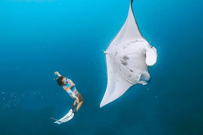 Manta Point Snorkeling & West Nusa Penida Island Day Tour - Key Points