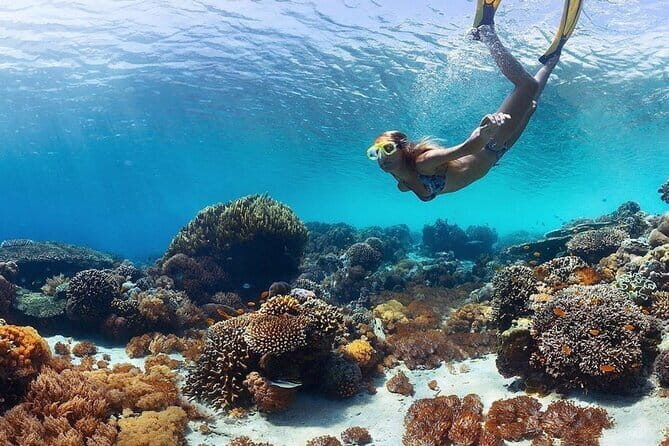 Manta Point Snorkeling & West Nusa Penida Island Day Tour - Starting Point and Transport