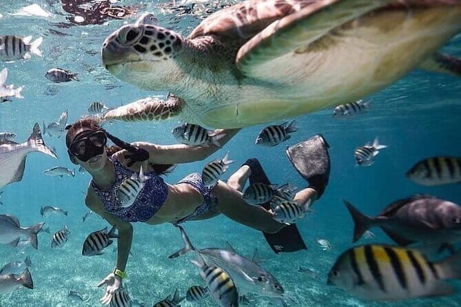 Manta Point Snorkeling & West Nusa Penida Island Day Tour - Practical Details & Extras