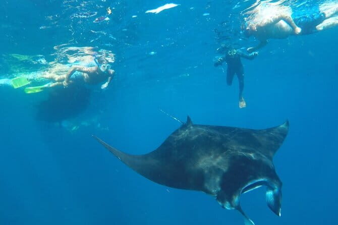 Manta Point Snorkeling & West Nusa Penida Island Day Tour - Gamat Bay: A Hidden Gem