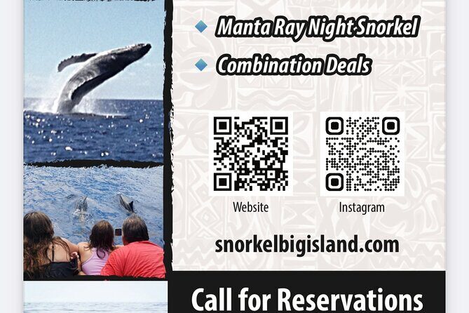 Manta Ray Night Snorkel Adventure in Kailua-Kona - Key Points