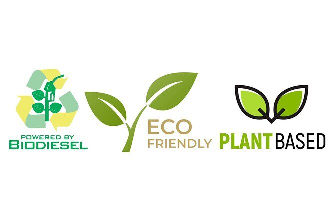 Manta Ray Night Snorkel Tour from Kona - Final Thoughts