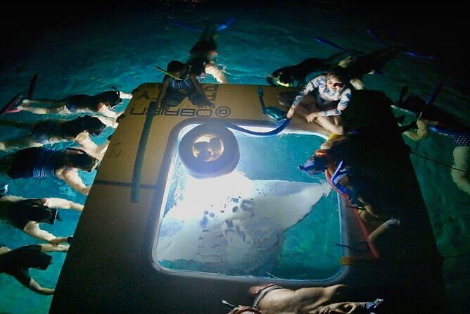 Manta Ray Snorkel Experience - Discovering Big Island’s Underwater Spectacle: The Manta Ray Snorkel Experience