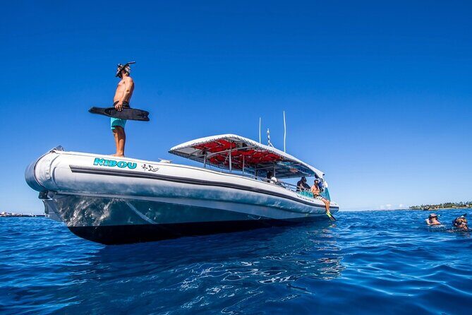 Manta Ray Snorkel Experience - Who Will Love This Tour?