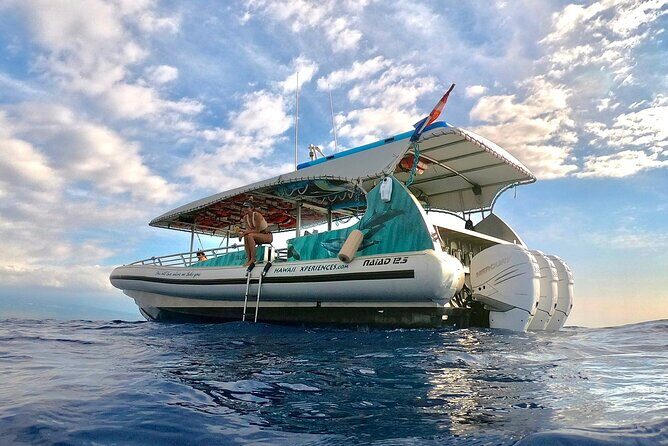 Manta Ray Snorkel Experience - In-Depth Review of the Manta Ray Snorkel Experience
