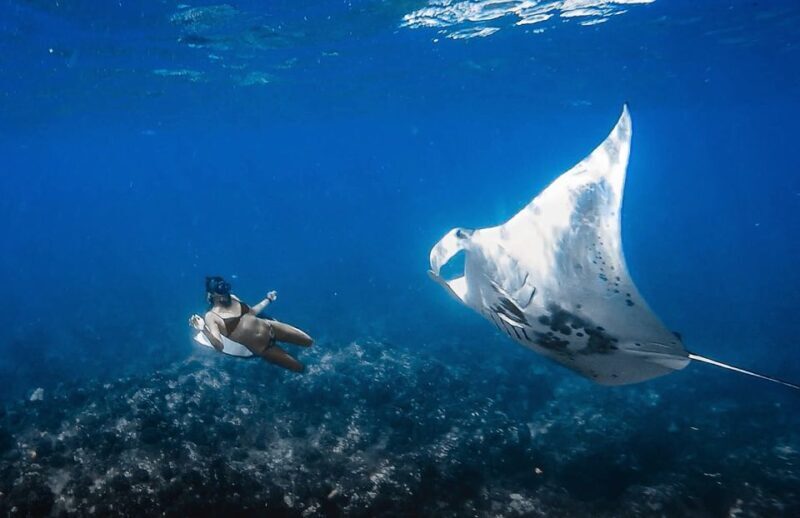 Manta Ray Snorkel in Kailua-Kona with Hot Cocoa - An In-Depth Look at the Tour