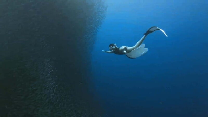 Mantayupan Falls & Moalboal: Snorkeling & Sardine Run Tour - A Closer Look at the Mantayupan Falls & Moalboal Snorkeling Tour