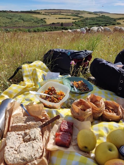 Manteigas: Serra da Estrela Shepherd Path Hike with Shepherd - The Sum Up