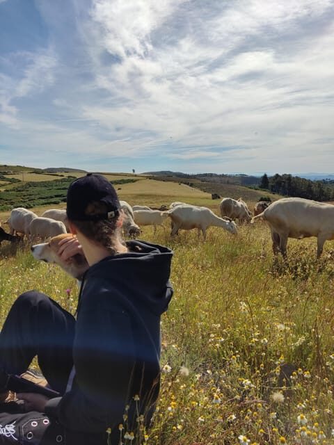 Manteigas: Serra da Estrela Shepherd Path Hike with Shepherd - FAQ