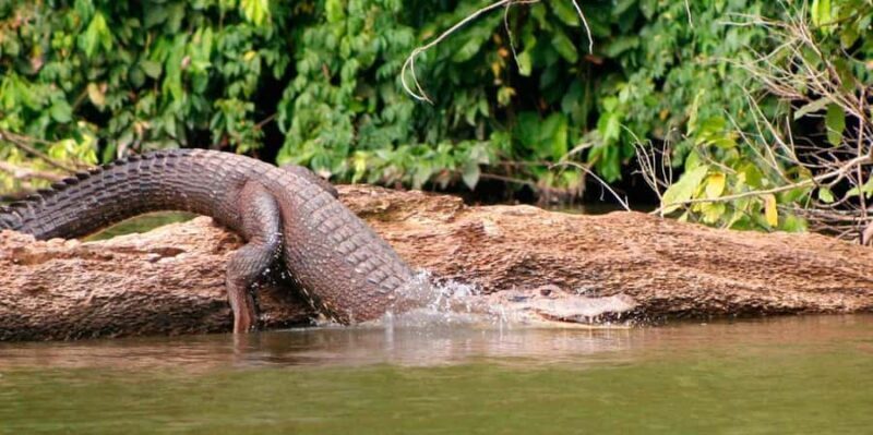 Manu Cultural Zone Tour 7 Days - FAQ