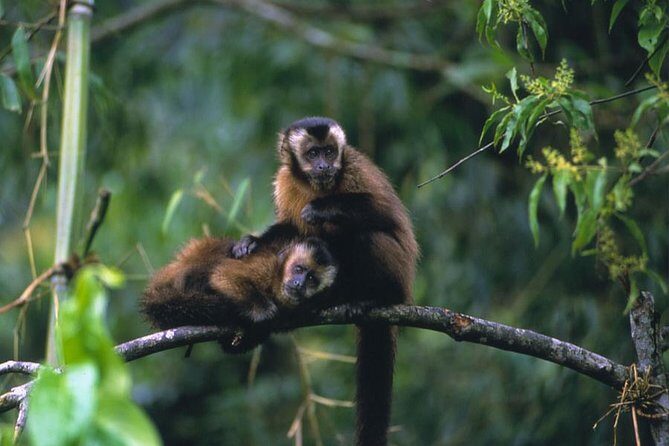 Manu Jungle Exploring (5 Days) - Who Should Consider This Tour?