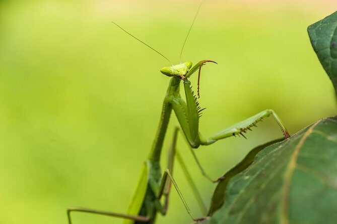 Manu Jungle Tour (4 Days) - Who Should Consider This Tour?