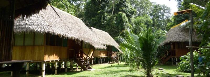 Manu Jungle Tour 5 Days - Manu Jungle Tour 5 Days: A Deep Dive into the Peruvian Amazon