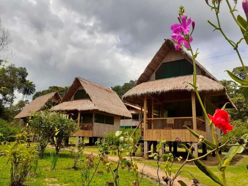 Manu Jungle Tour 5 Days - Exploring the Journey: What You Can Expect