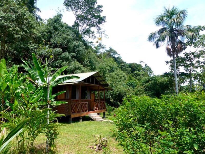 Manu Jungle Tour 5 Days - Final Thoughts: Who Should Book This Tour?