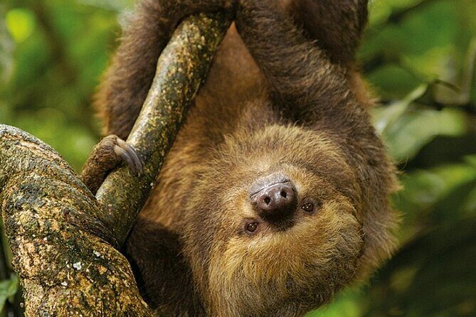 Manu Jungle Tour from Cusco (4 Days) - Final Thoughts