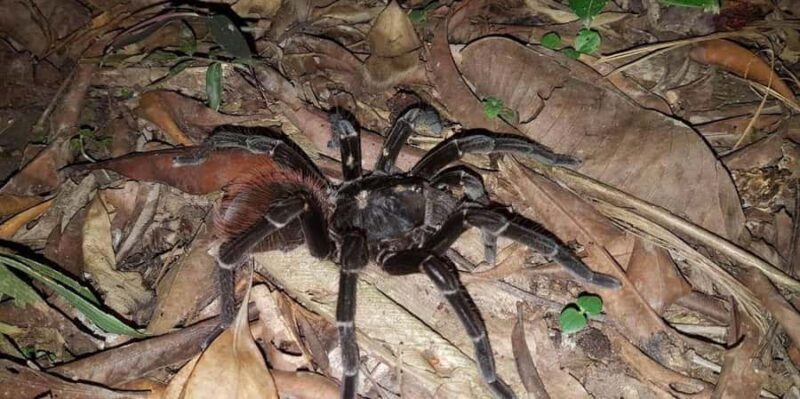 Manu National Park 3 Day Trip - Value and Practicalities