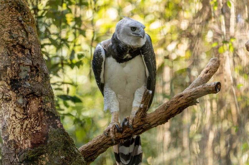 Manu National Park Tours from Cusco 5 Days - Key Points