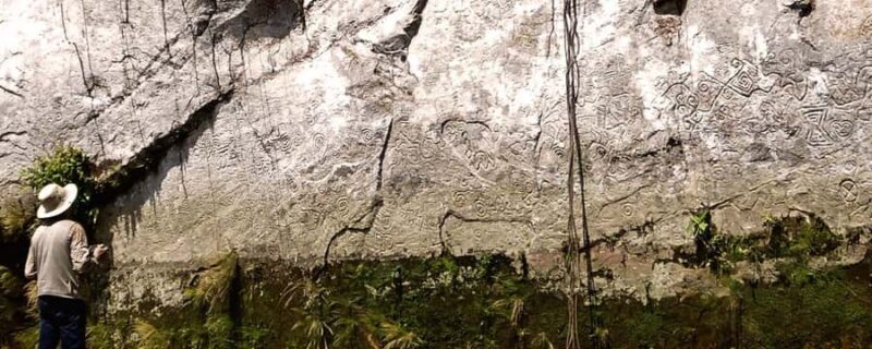 Manu National Reserve 5D | Pusharo Petroglyphs | - Exploring the Manu National Reserve: An Adventure for Nature and Culture Lovers