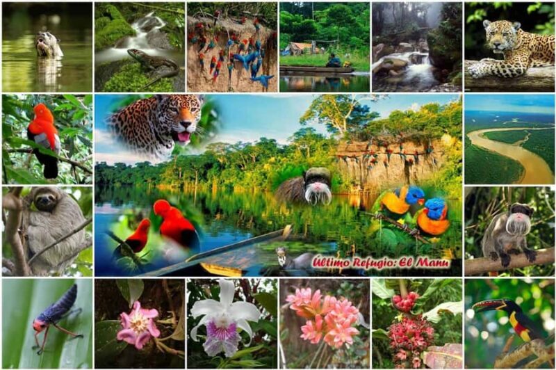 Manú Park | Paucartambo | Pilcopata 3 days includes food - Key Points