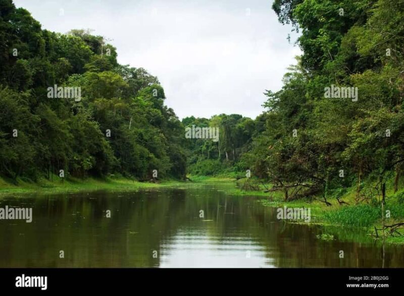 Manú Park | Paucartambo | Pilcopata 3 days includes food - Day 2: From Pilcopata to Amazon Manu Lodge